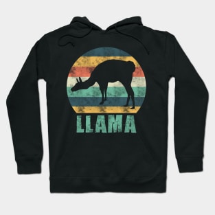 Colourful Llama Alpaca Hoodie